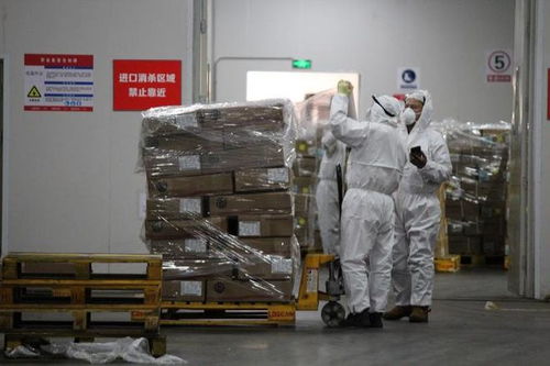 《公路、水路進口冷鏈食品物流新冠病毒防控和消毒技術指南（第四版）》印發 強化道路貨物運輸環節防控